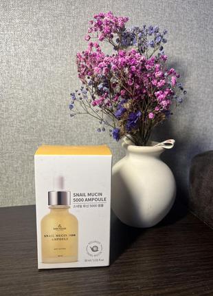 Сироватка проти зморшок із муцином равлика the skin house snail mucin 5000 ampoule