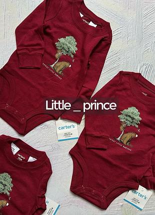 Бодікі carters