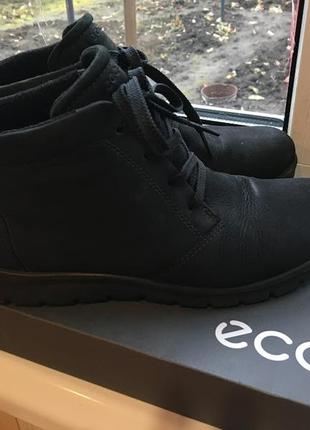 Демисезонные женские ботинки ecco