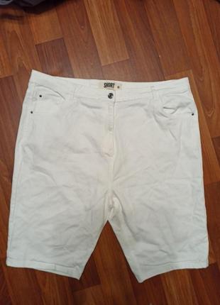Белые шорты большого размера short