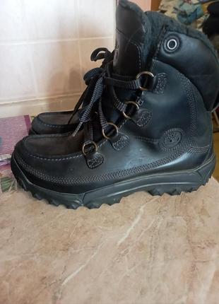 Зимові ботинки timberland 
оригінал