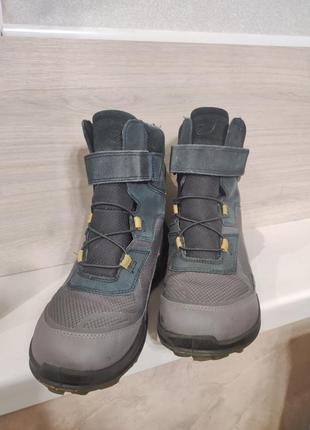 Сапоги ecco gore-tex размер 39