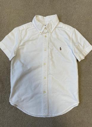 Сорочка ralph lauren