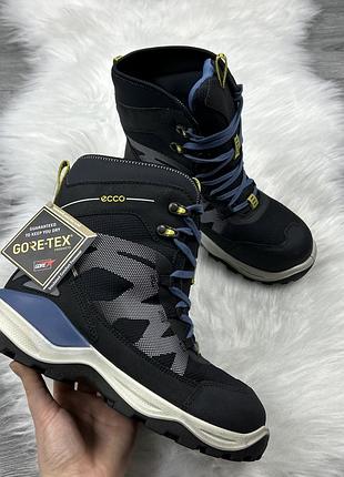 Жіночі оригінальні зимові черевики ecco gore tex