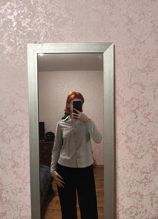 Сорочка tee o'polo