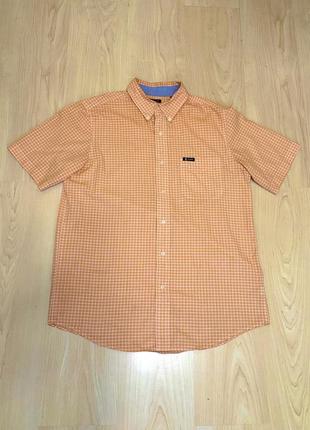 Chaps by ralph lauren