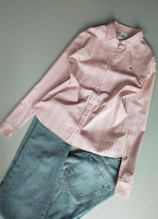 Lacoste рожева сорочка у смужку