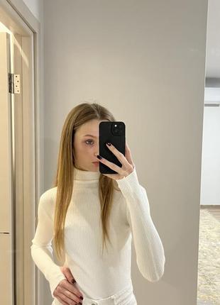 Гольф водолазка