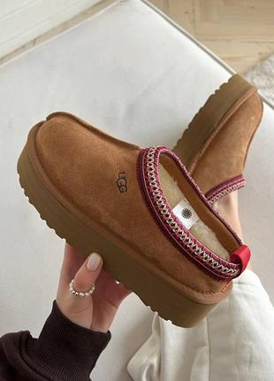 Женские угги на платформе ugg tazz platform slippers