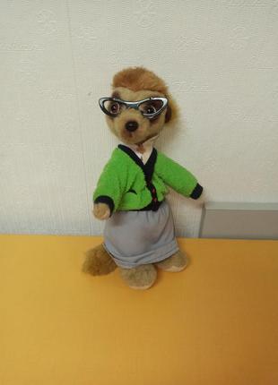 Сурикат maiya – школьный учитель. meerkovo.