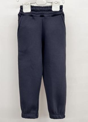 Штаны детские на флисе 3-х нить флис 2 цвета