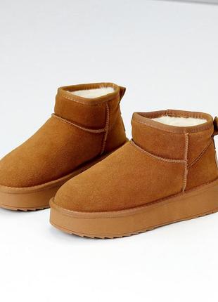 Уггі "larsi", camel, натуральна замша