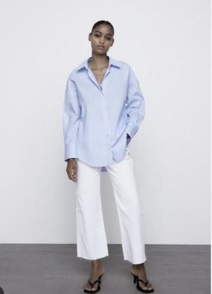 Zara блакитна сорочка оверсайз, рубашка оверсайз, блузка, блуза, рубашка свободного крля