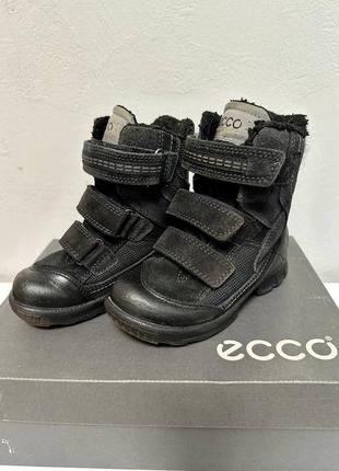 Ecco зимові черевики чоботи р28