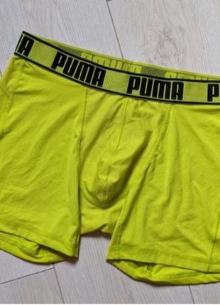 Трусы от бренда puma