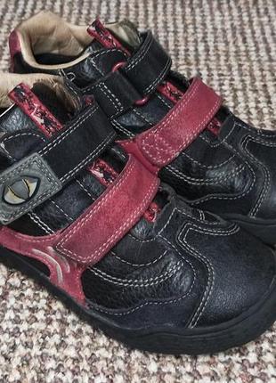 Ботинки кроссовки clarks stompo , натуральная кожа. размер 31 ( стелька 20,5 см)2 фото