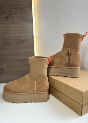 Угги уггі угг ugg classic dipper boot chestnut