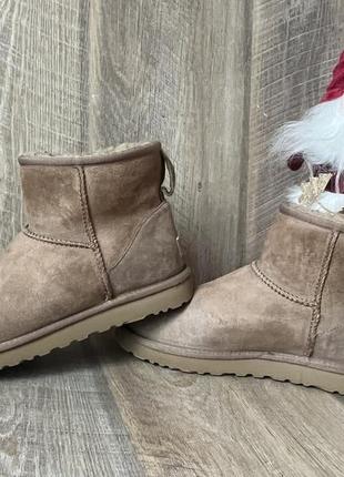 Черевики ugg  39/24,5см4 фото