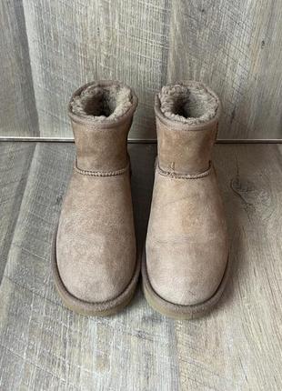 Черевики ugg  39/24,5см3 фото