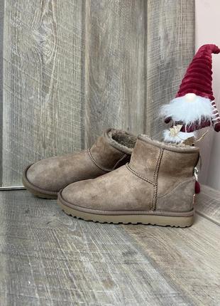Черевики ugg  39/24,5см