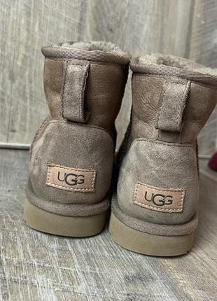 Черевики ugg  39/24,5см6 фото