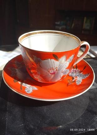 Тарілки з ведмедиком - мед