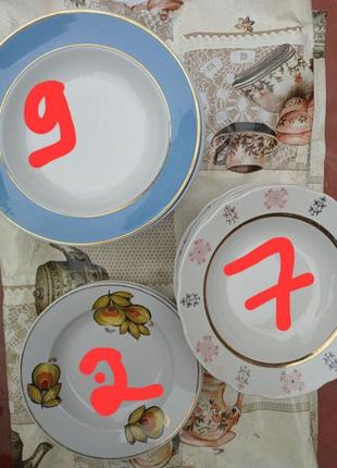 Тарілки з ведмедиком - мед