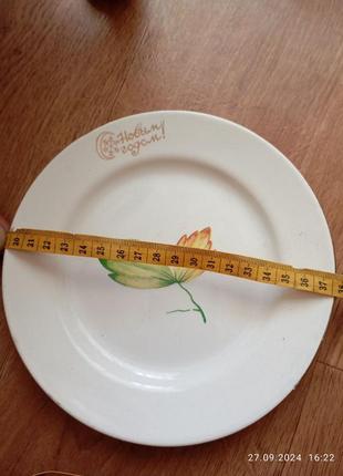 Тарілки з ведмедиком - мед