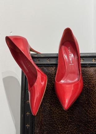 Туфлі casadei