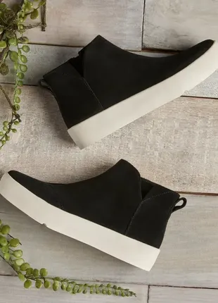Замшеві черевики снікерси toms verona mid
