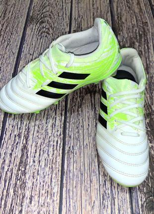 Футбольні бутси adidas copa для хлопчика, розмір 34