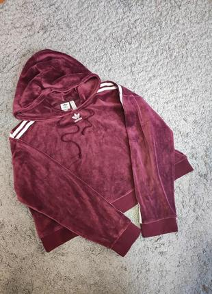Кроп худи adidas велюровое