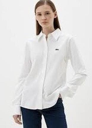 Шикарная рубашка бренда lacoste