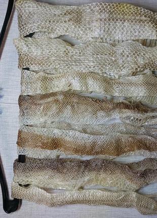 Зміїні виповзки, шкіра змії для дизайну та манікюру. выползок королевского питона.