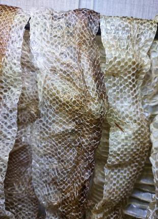 Зміїні виповзки, шкіра змії для дизайну та манікюру. выползок королевского питона.