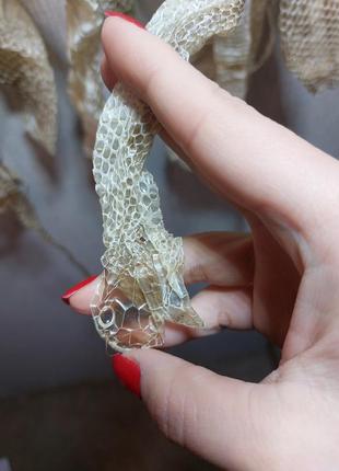 Зміїні виповзки, шкіра змії для дизайну та манікюру. выползок королевского питона.