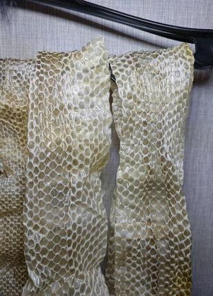 Зміїні виповзки, шкіра змії для дизайну та манікюру. выползок королевского питона.