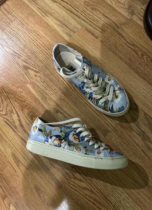 Кеди італія