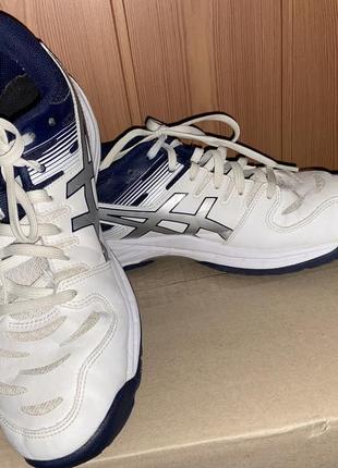 Кросівки asics