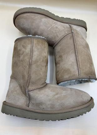 Высокие замшевые угги ugg 1016223 оригинал