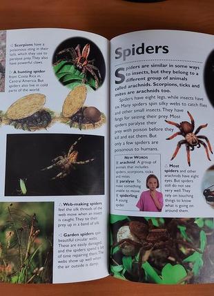 Книга на английском языке first book of knowledge, энциклопедия "первая книга знаний"