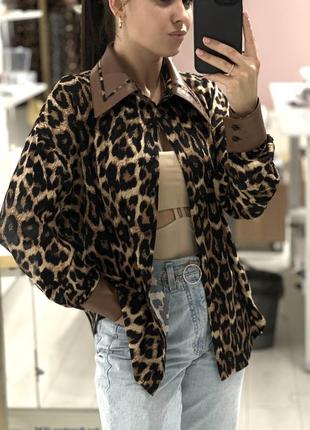 Леопардова сорочка