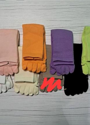 Високі однотонні бавовняні шкарпетки з окремими пальцями 36-411 фото