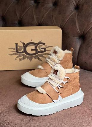 Ботинки ugg