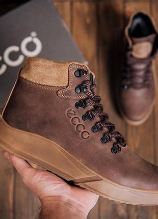 Мужские зимние кожаные ботинки brown style