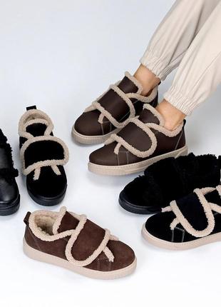 Автоледи "trend"