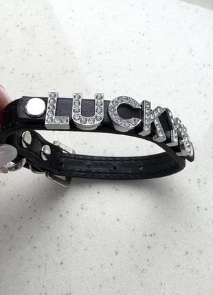 Ремінець для собаки lucky