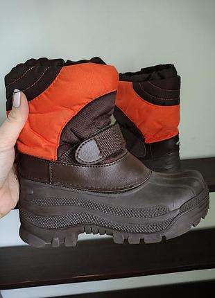 Уггі, чоботи