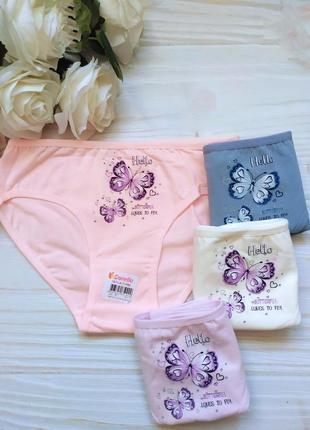 4шт трусики труси 10/11 донелла donella