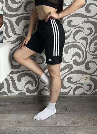 Шорты от Superdry